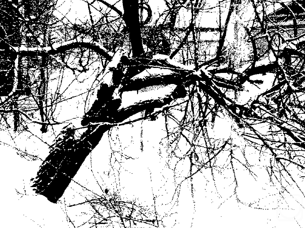 �������. �������� ����. ����