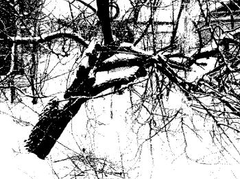 ������� �����