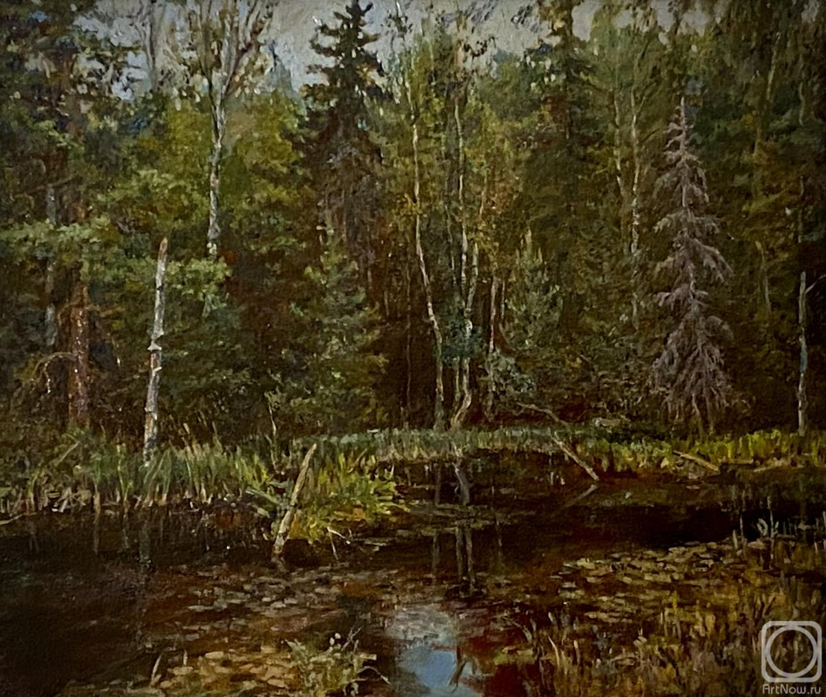 ������� ������ �� ������. ������� �������. ������ �������� ����