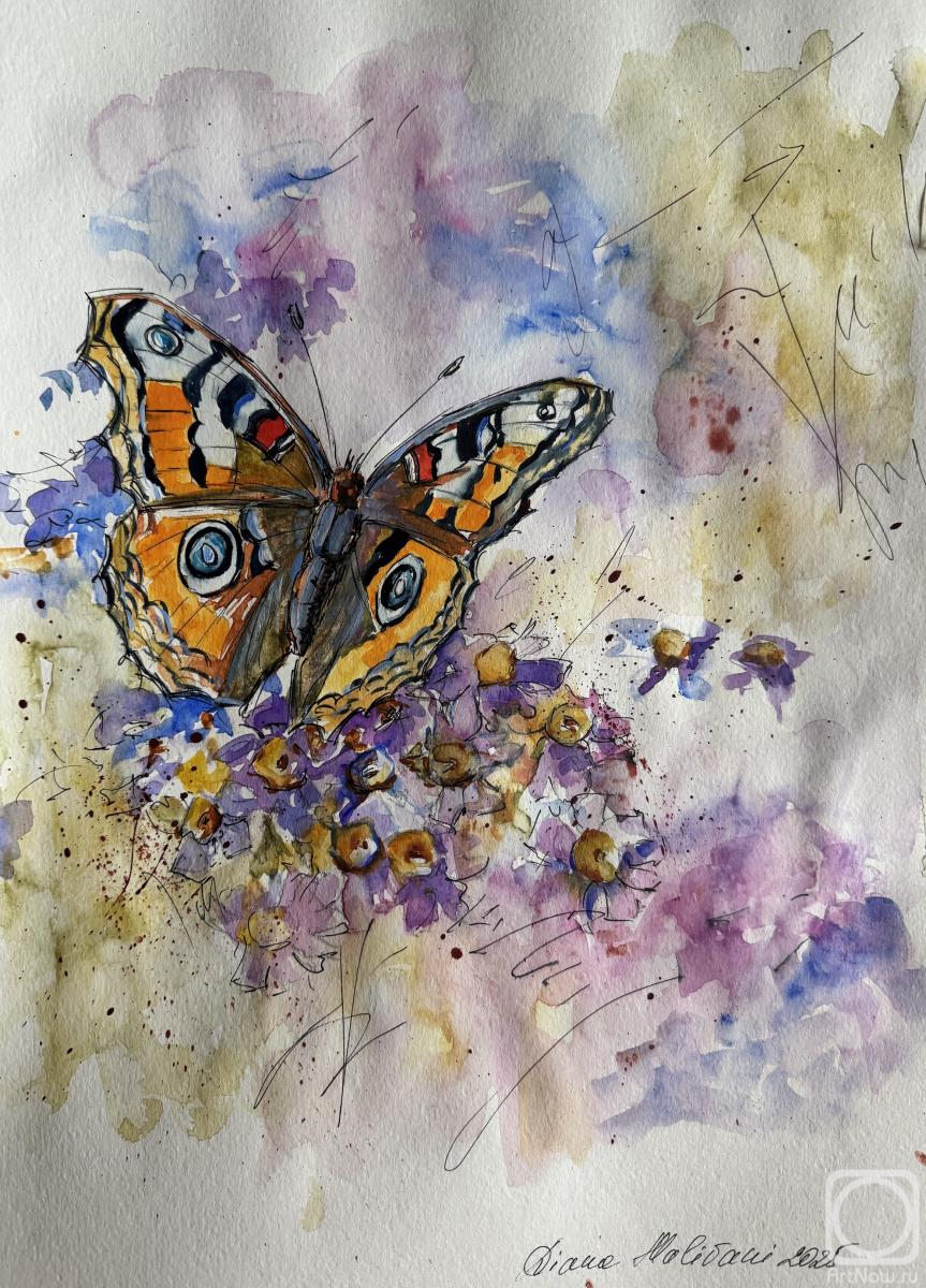 Malivani Diana. Butterfly. N2