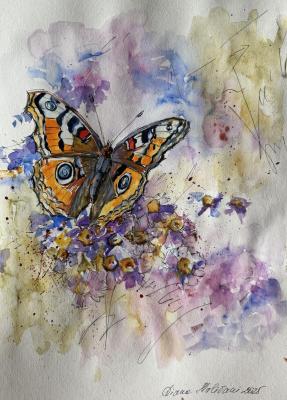 Butterfly. N2. Malivani Diana