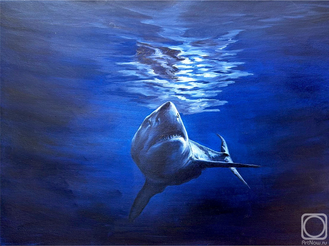 ������� ������ �� ������. ���������� ���������. ���������