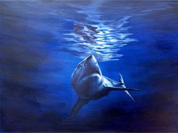 ���������. ���������� ���������