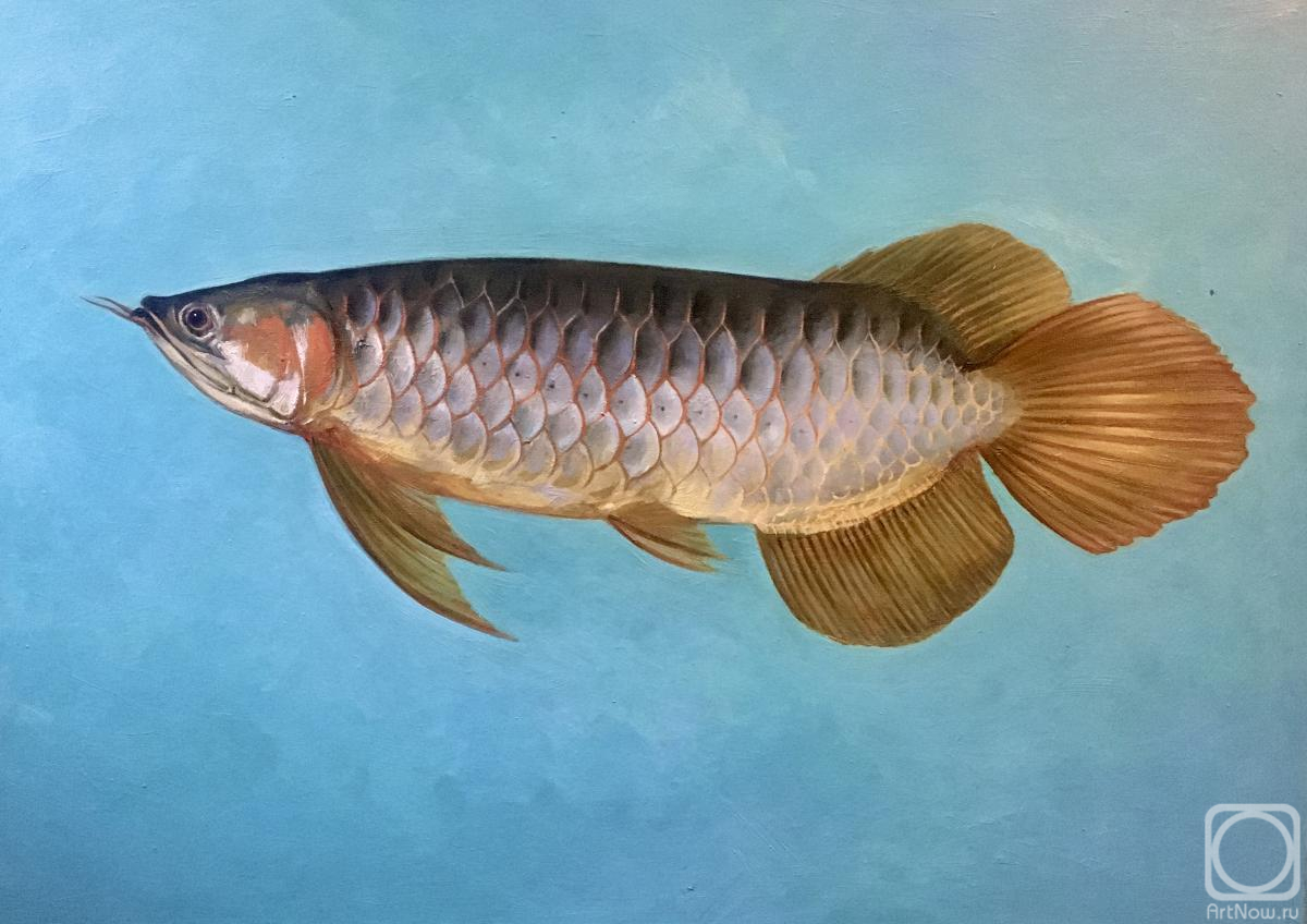 ������� ������ �� ������. ������ ���������. ���������� �����