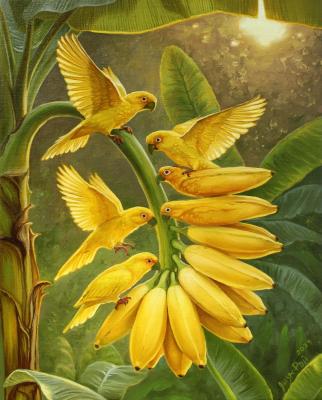 ���� ��� - ����������� ��� 2. ��� ����