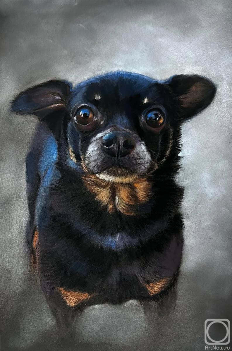 �������. �������� ����. ������ �����