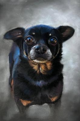 ������ �����. �������� ����