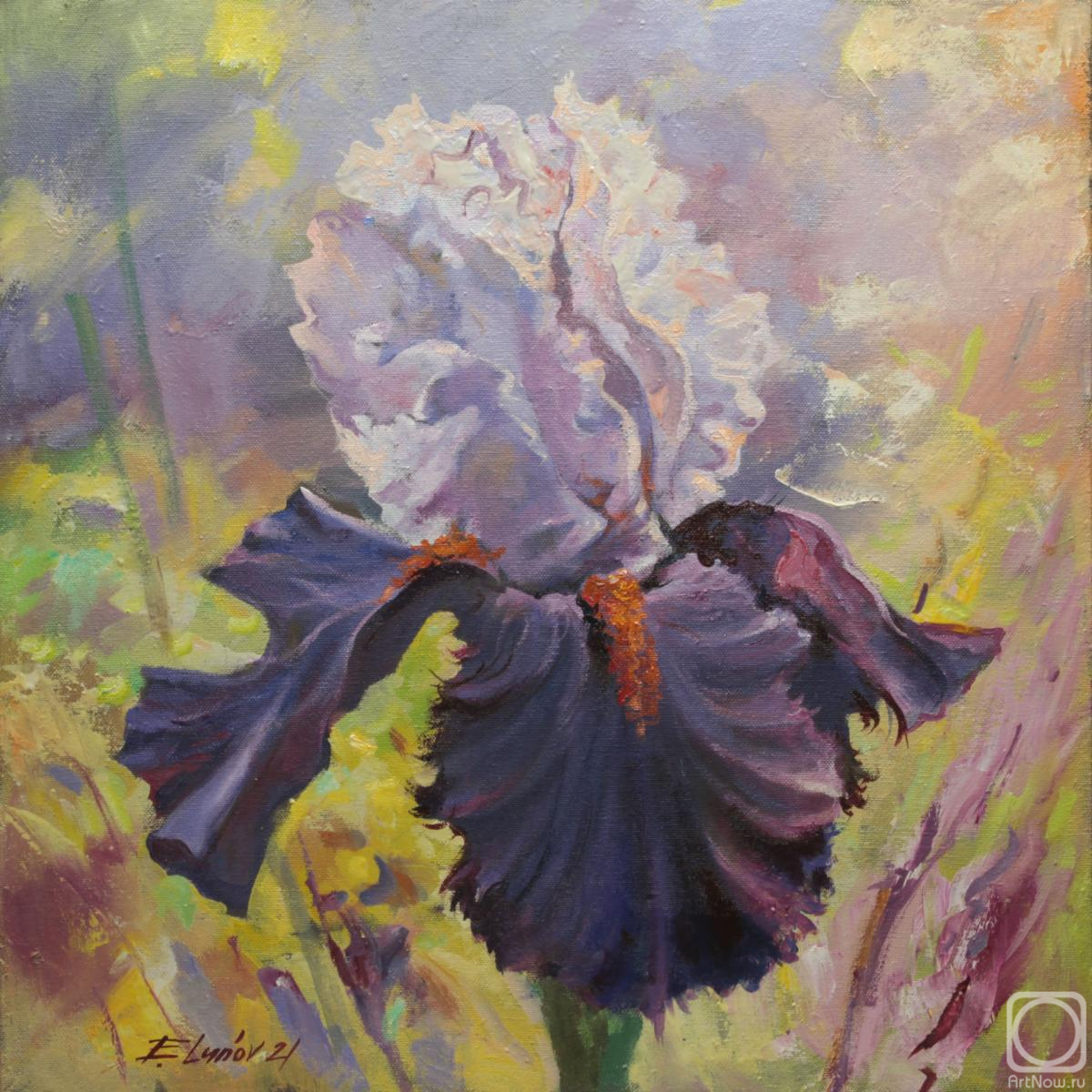 ������� ������ �� ������. ����� �������. ����