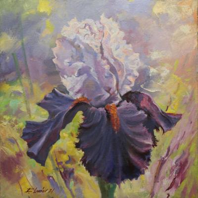 ����. ����� �������