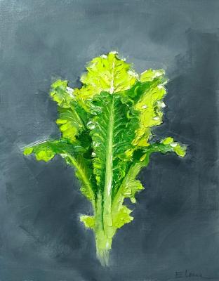 ����� (��������������). ������ ����