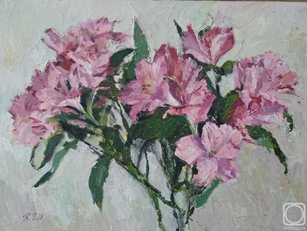 �������. ��������� ��������. ������������