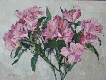 ������������. ��������� ��������