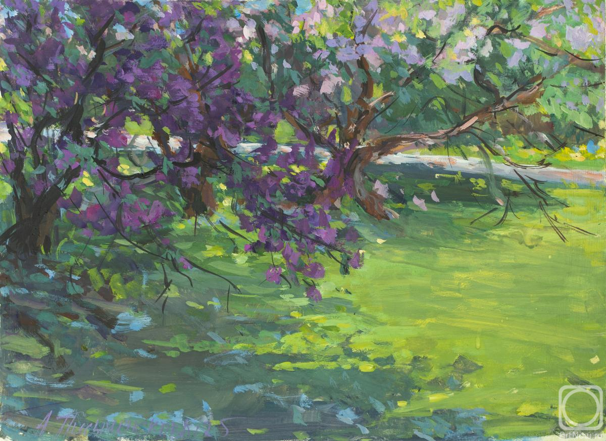 �������. ������������ ����. � ��������� ����