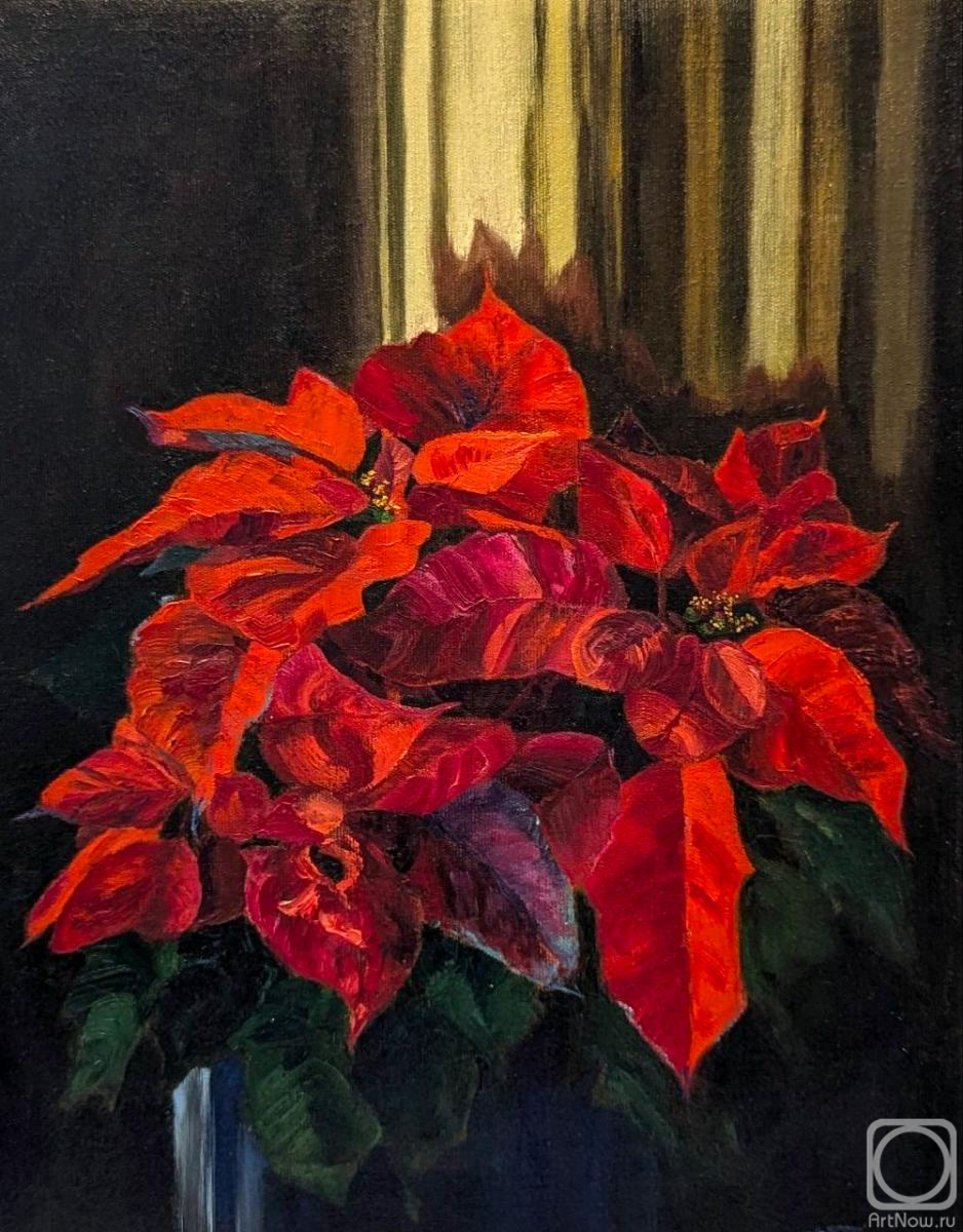 ������� ������ �� ������. ������� �����. ����������