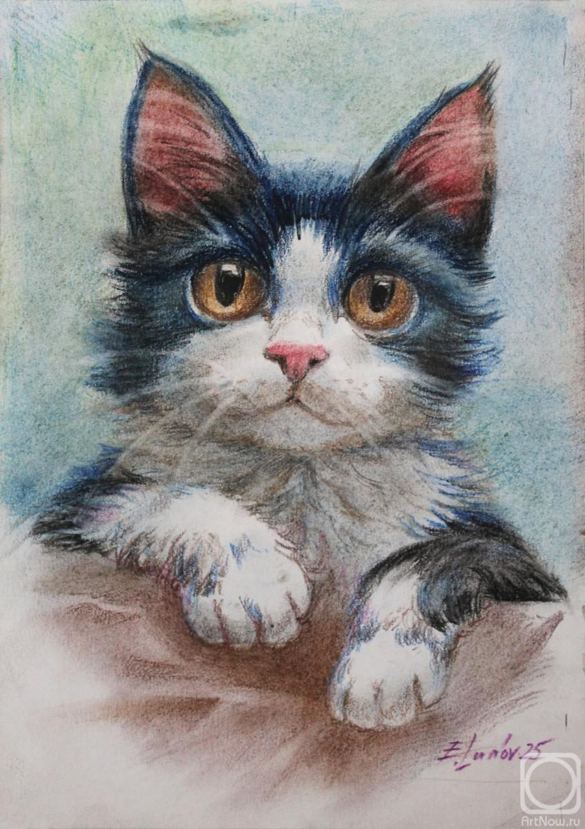 �������. ����� �������. ������