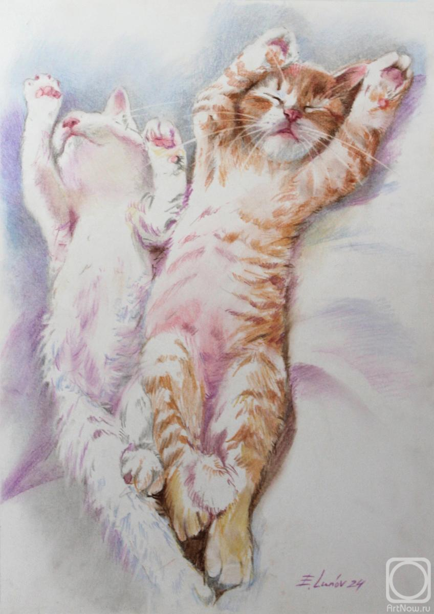 �������. ����� �������. ��� ������