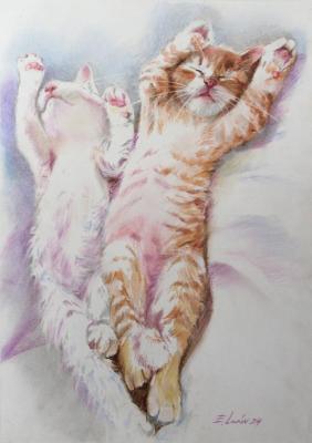 ��� ������. ����� �������