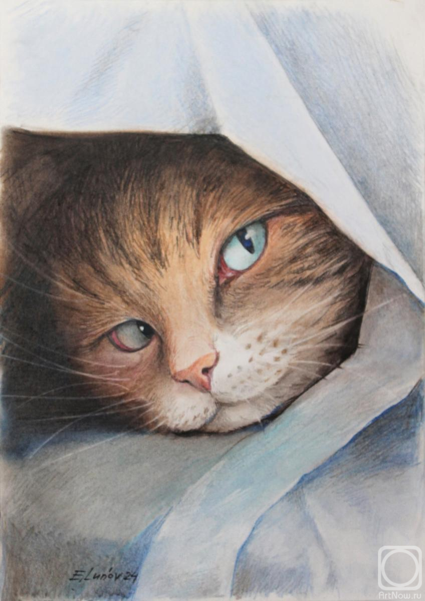 �������. ����� �������. �������