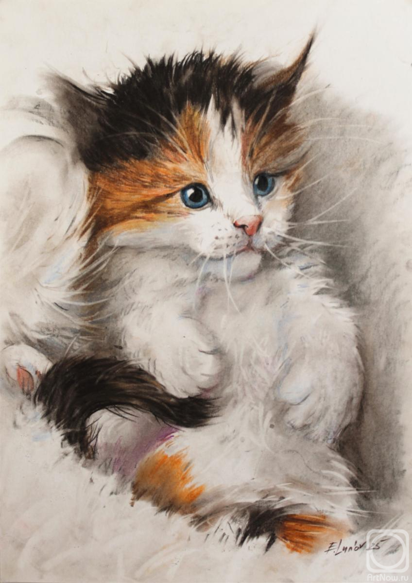 �������. ����� �������. ��������� ����