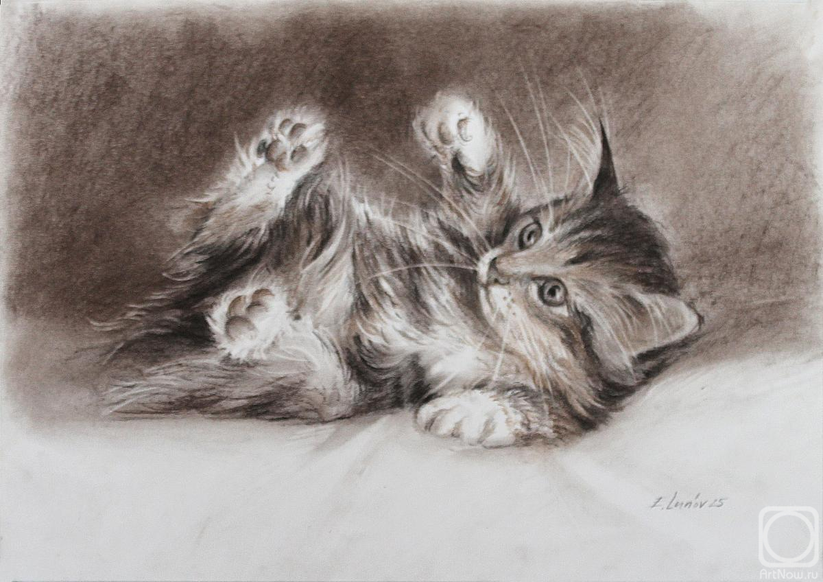 �������. ����� �������. ����� �������