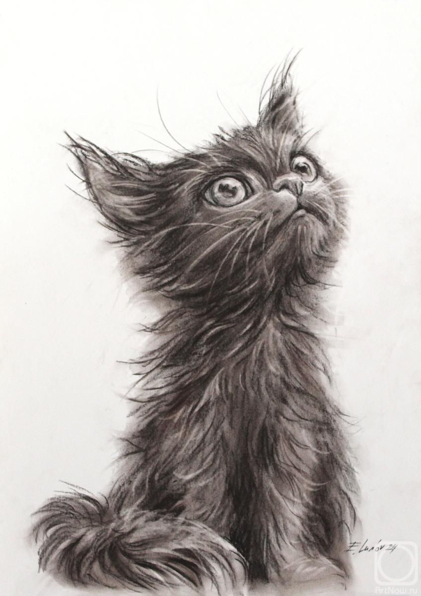 �������. ����� �������. ��������