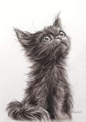 ��������. ����� �������