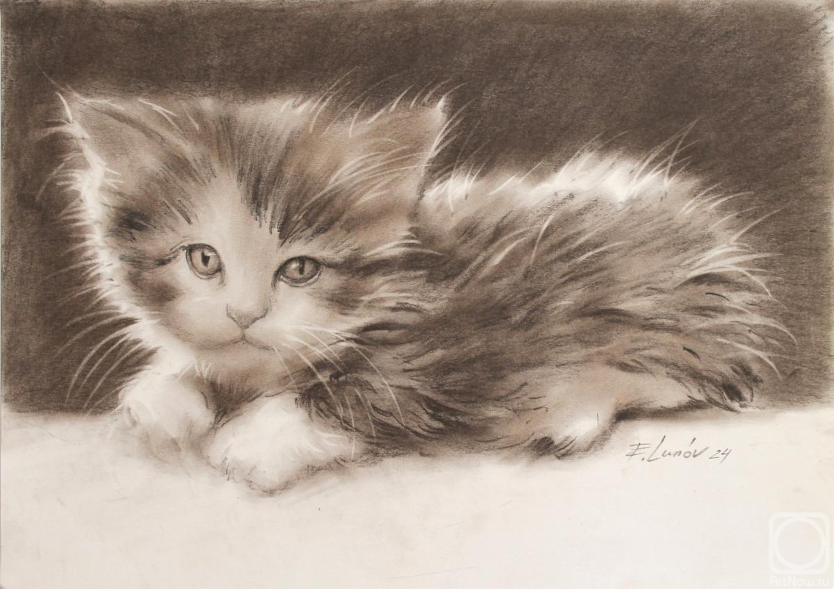 �������. ����� �������. �������� �������