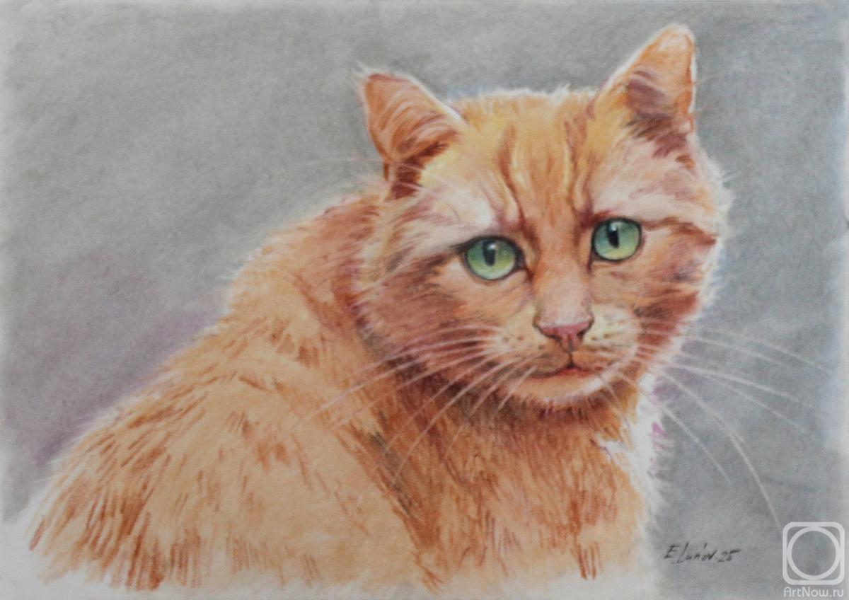 �������. ����� �������. �����