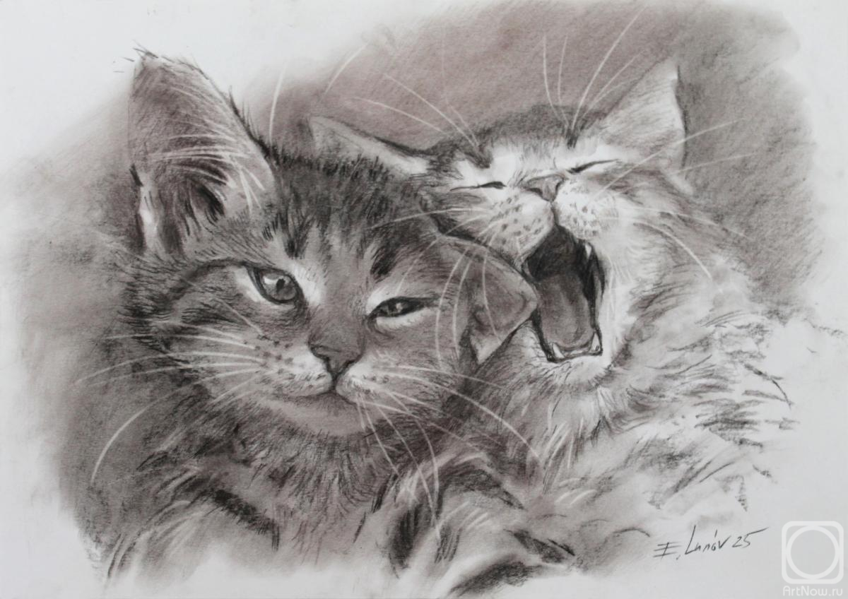 �������. ����� �������. ������� �������