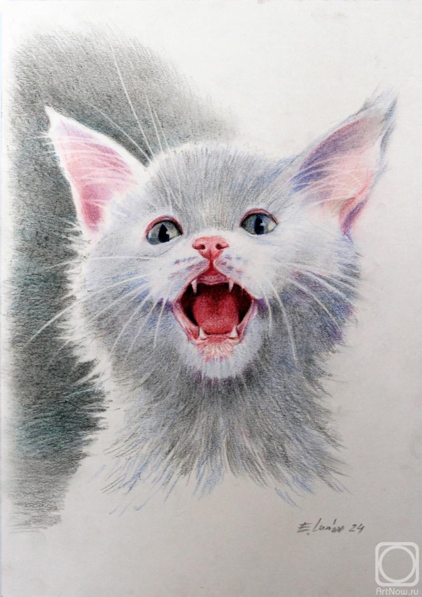 �������. ����� �������. �������