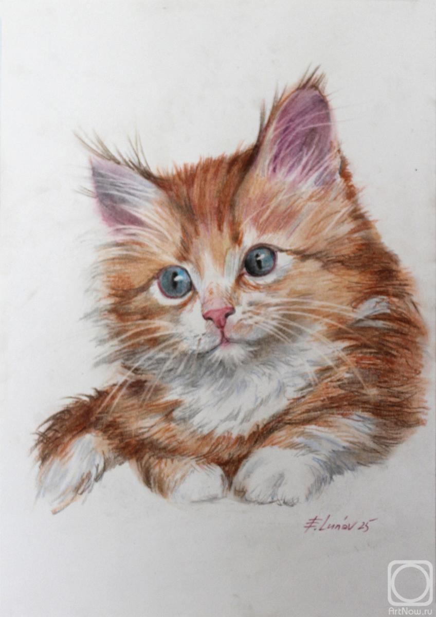 �������. ����� �������. ������