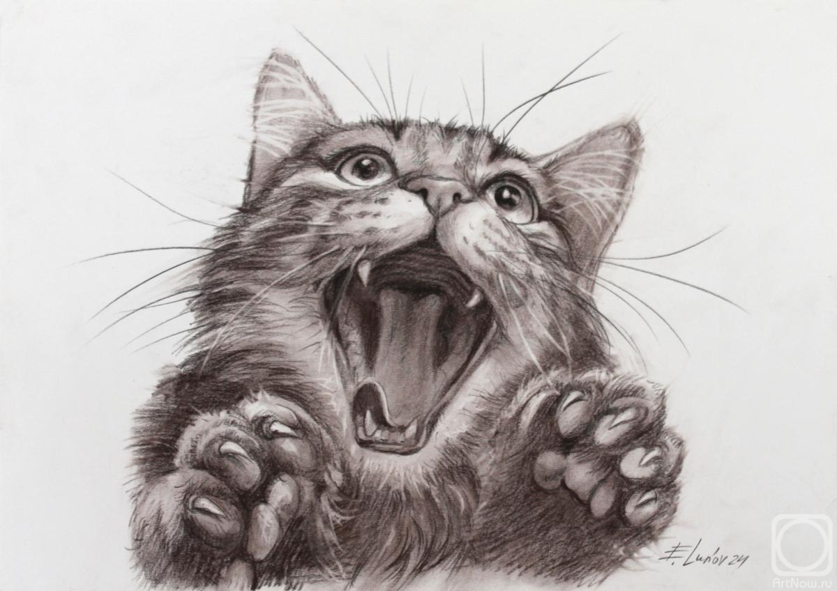 �������. ����� �������. ����� � �������