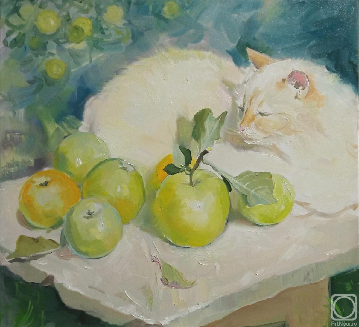 ������� ������ �� ������. ���������� �������. ������ �������