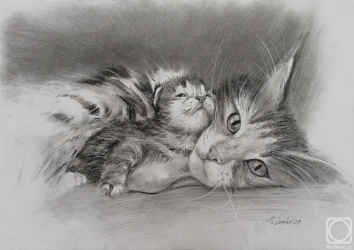 �������. ����� �������. ������� �������