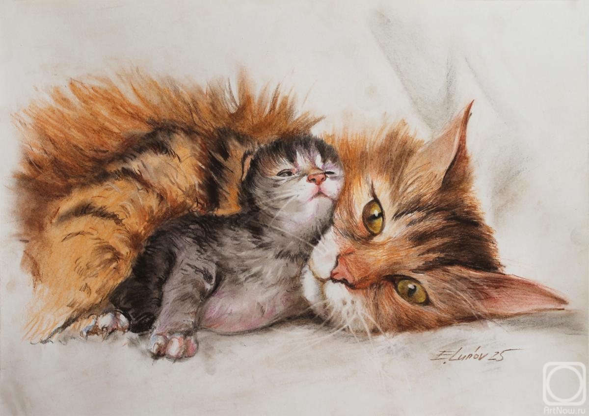 �������. ����� �������. ����� �����������