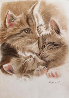 �������� �����. ����� �������