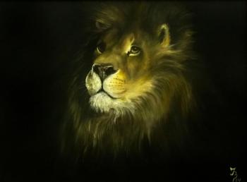 ��� � ���� (������� ����). ��������� �����