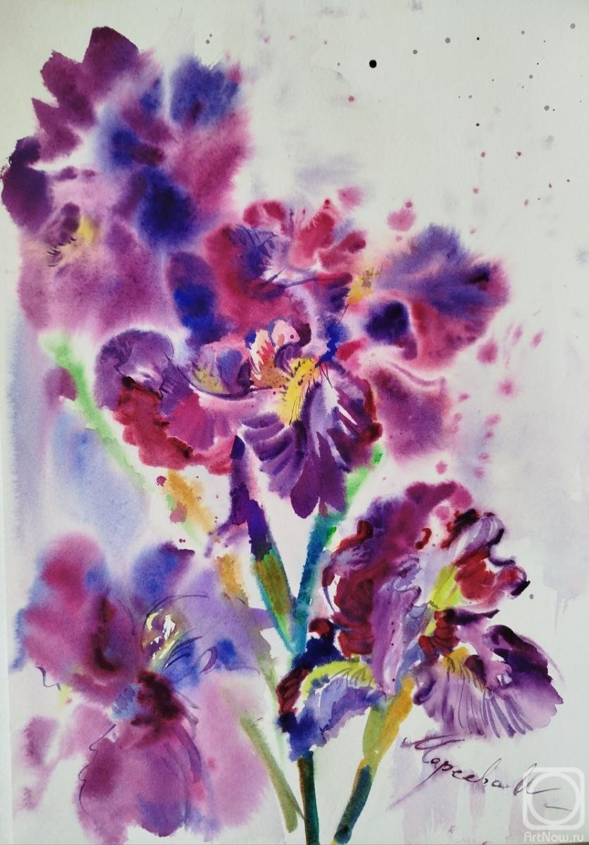 �������. ������� �����. ��������� ����