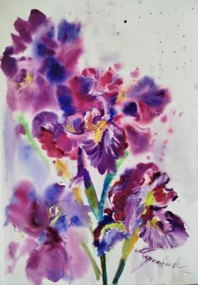 ������� ���������� ����