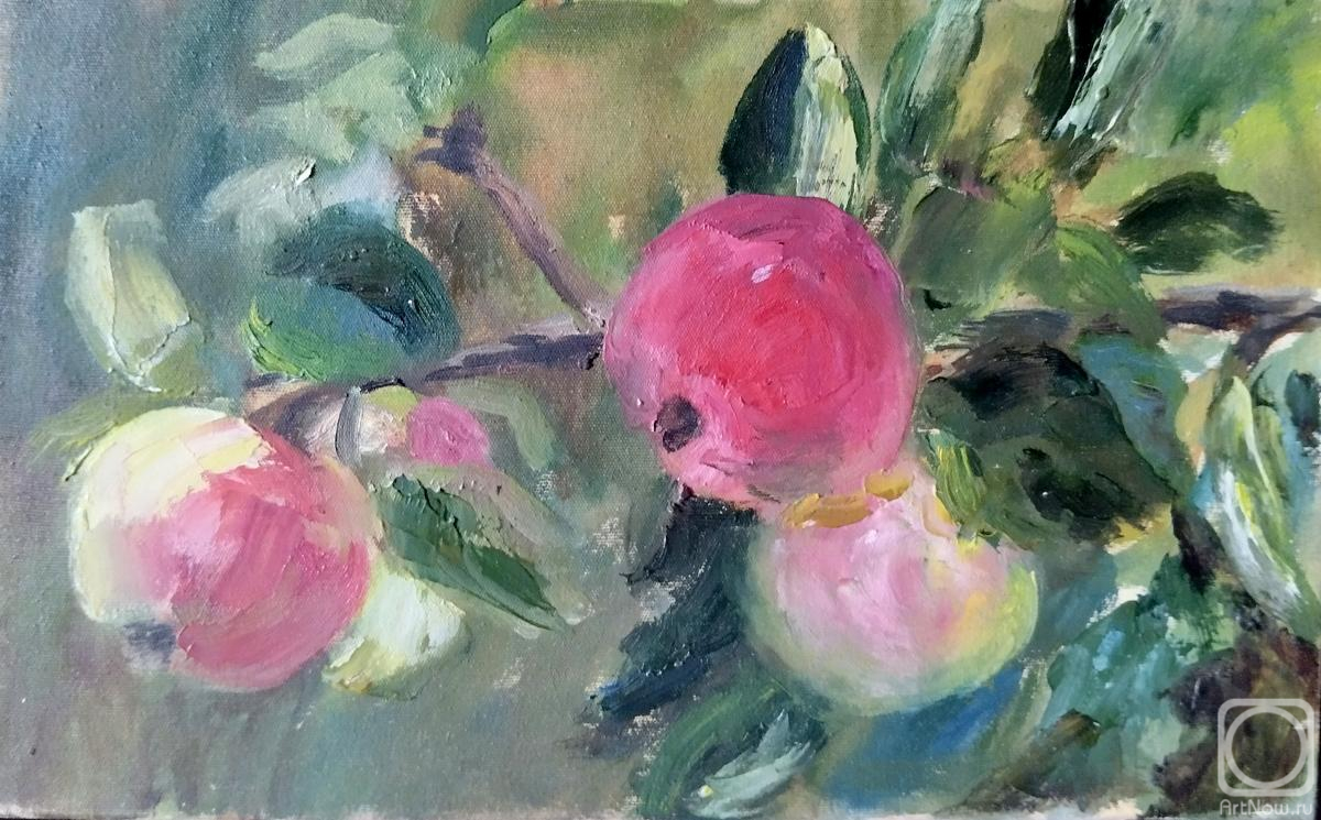 ������� ������ �� ������. �������� �������. ������. ����