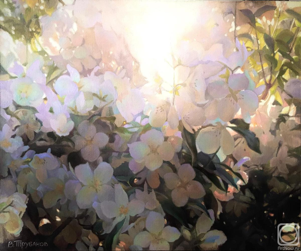 ������� ������ �� ������. �������� �������. �������� ����. ��������