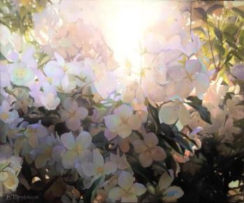 �������� ����. ��������. �������� �������