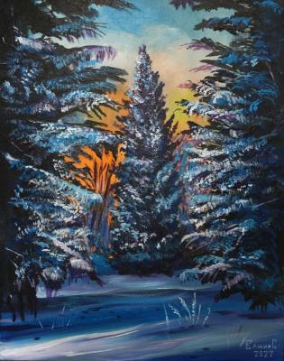 Christmas Tree. Elshin Sergey