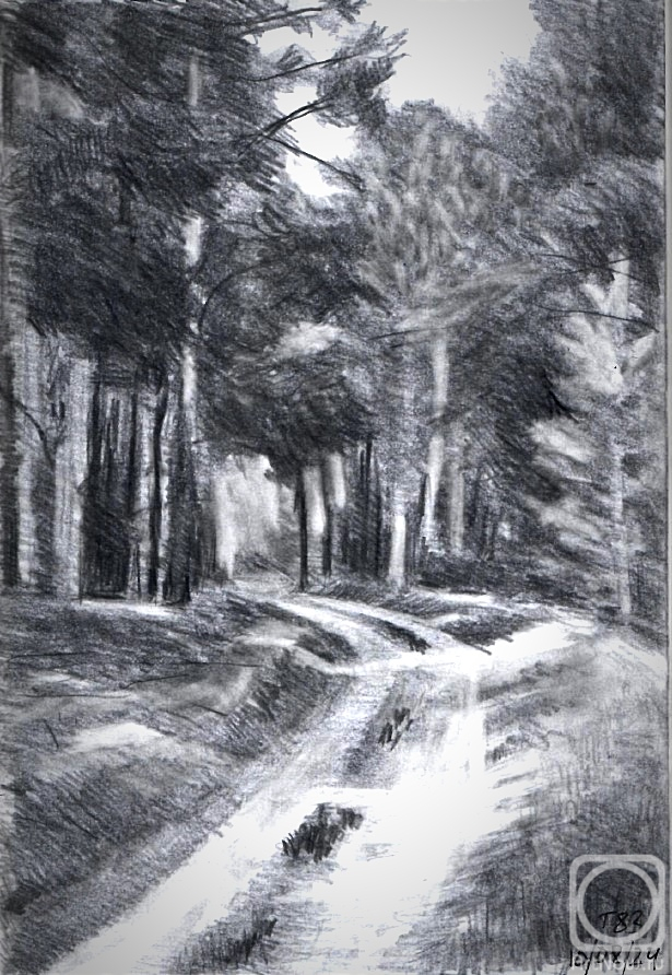 Starodumov Pavel. Untitled