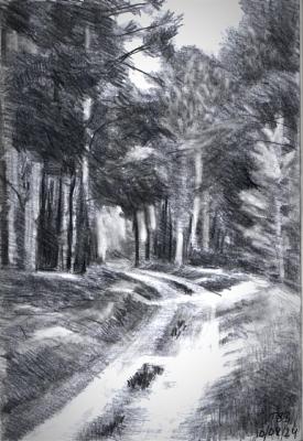 ������ ������. ���������� �����