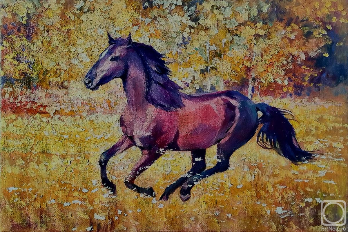 ������� ������ �� ������. ������ �����. ������� �����