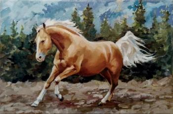 ������� �����������