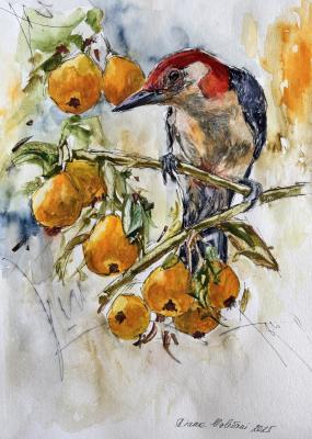 Pears (Aquarelle). Malivani Diana