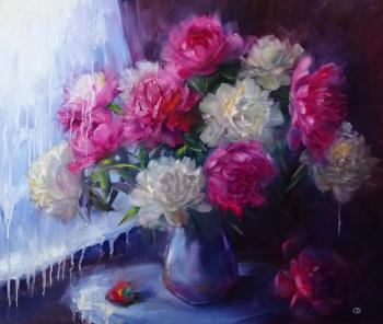 ����� ����. �������� ��������