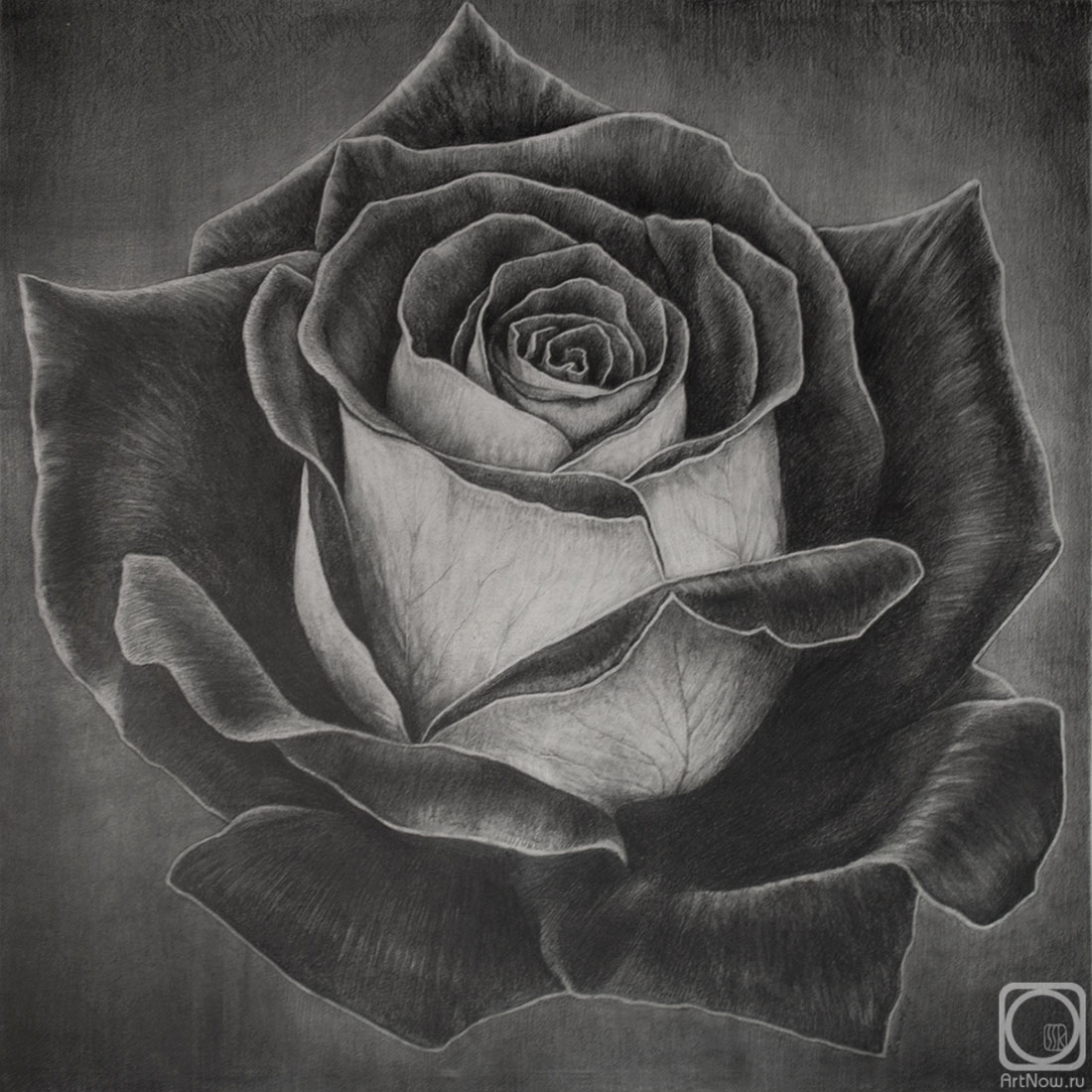 �������. ������� ������. �������� ����